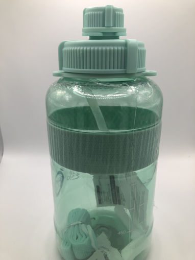 Picture of WATER BOTTLE (H-783)