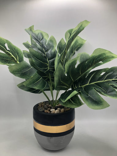 Picture of ARTIFICIAL POTTED PLANT (XB662-8)