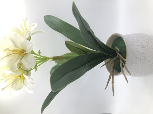 Picture of ARTIFICIAL FLOWER (DZR-223-16)